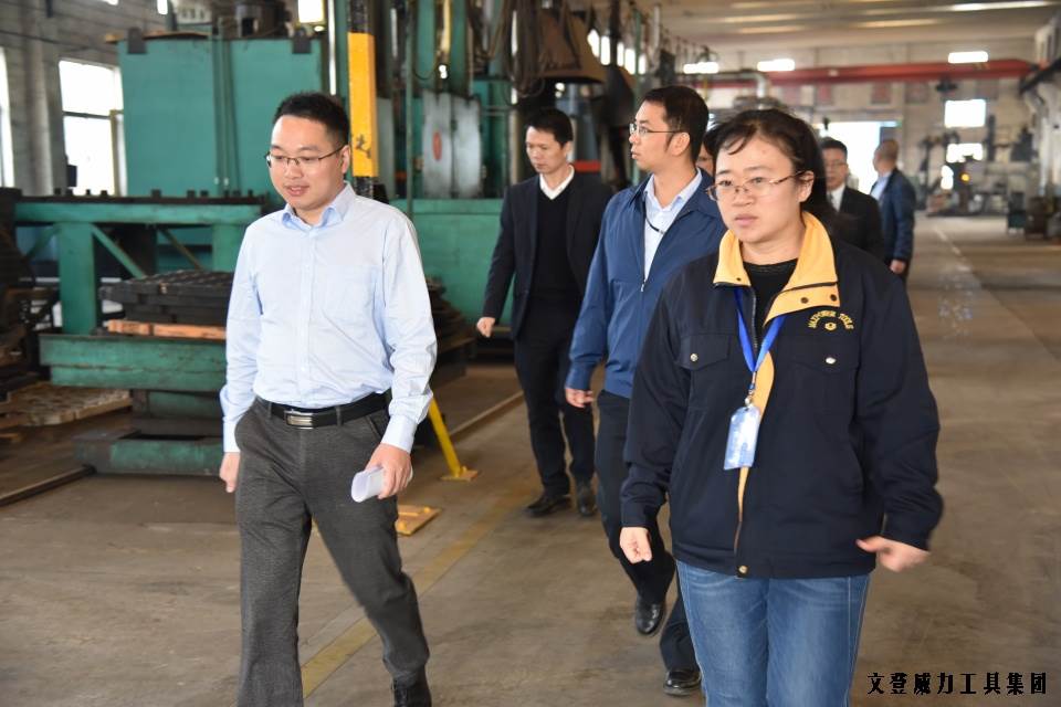 DSC_1796.JPG 威力工具集團(tuán)“引智強(qiáng)企”企業(yè)診斷大會(huì)正式啟動(dòng)(圖7)